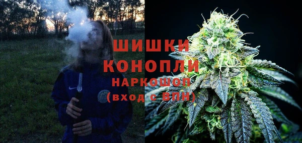 шишки Богданович